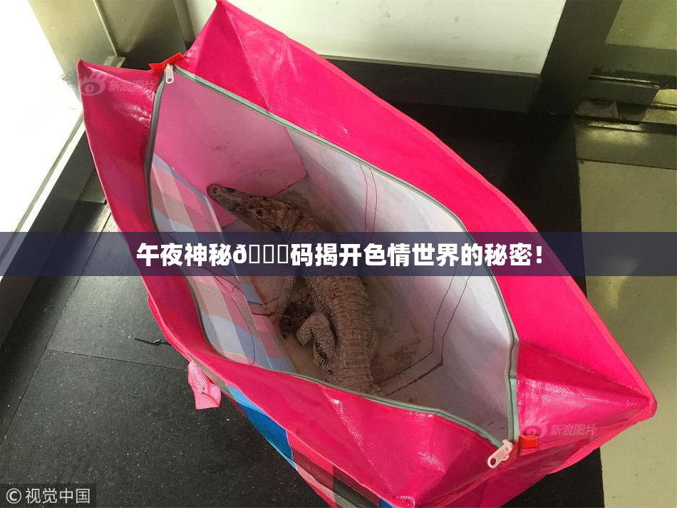 午夜神秘🈚码揭开色情世界的秘密！