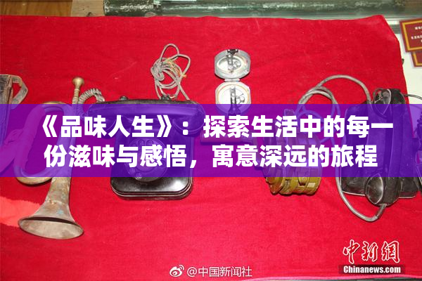 《品味人生》：探索生活中的每一份滋味与感悟，寓意深远的旅程
