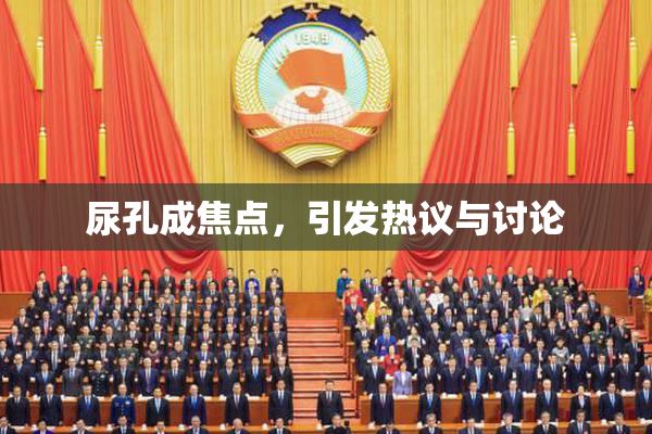 尿孔成焦点，引发热议与讨论