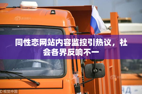 同性恋网站内容监控引热议，社会各界反响不一