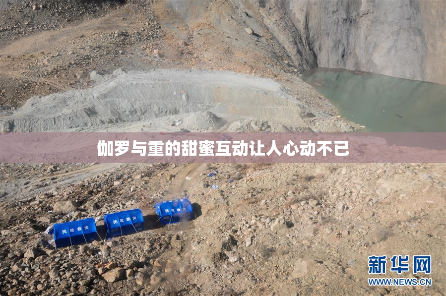 伽罗与重的甜蜜互动让人心动不已