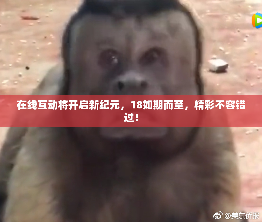在线互动将开启新纪元，18如期而至，精彩不容错过！