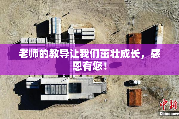 老师的教导让我们茁壮成长，感恩有您！