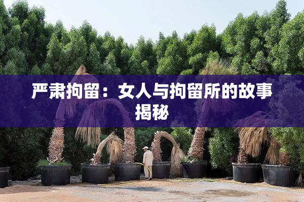 严肃拘留：女人与拘留所的故事揭秘