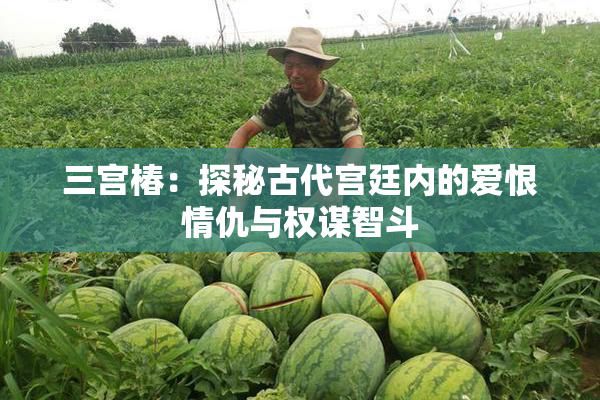 三宫椿：探秘古代宫廷内的爱恨情仇与权谋智斗