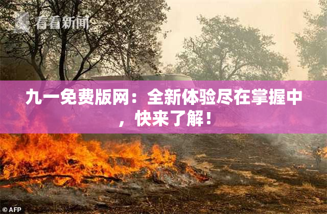 九一免费版网：全新体验尽在掌握中，快来了解！