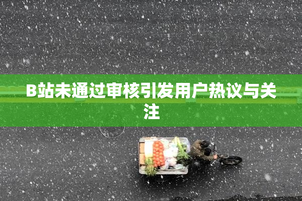 B站未通过审核引发用户热议与关注