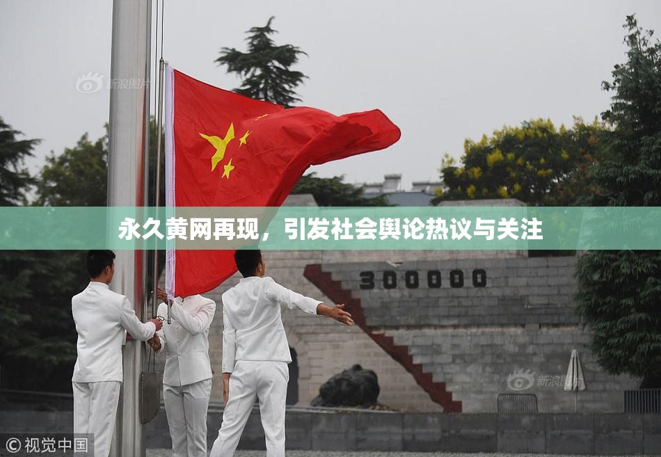 永久黄网再现，引发社会舆论热议与关注