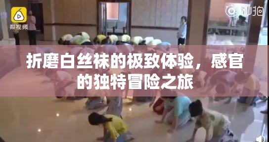 折磨白丝袜的极致体验，感官的独特冒险之旅
