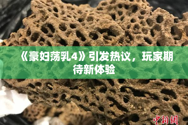 《豪妇荡乳4》引发热议，玩家期待新体验