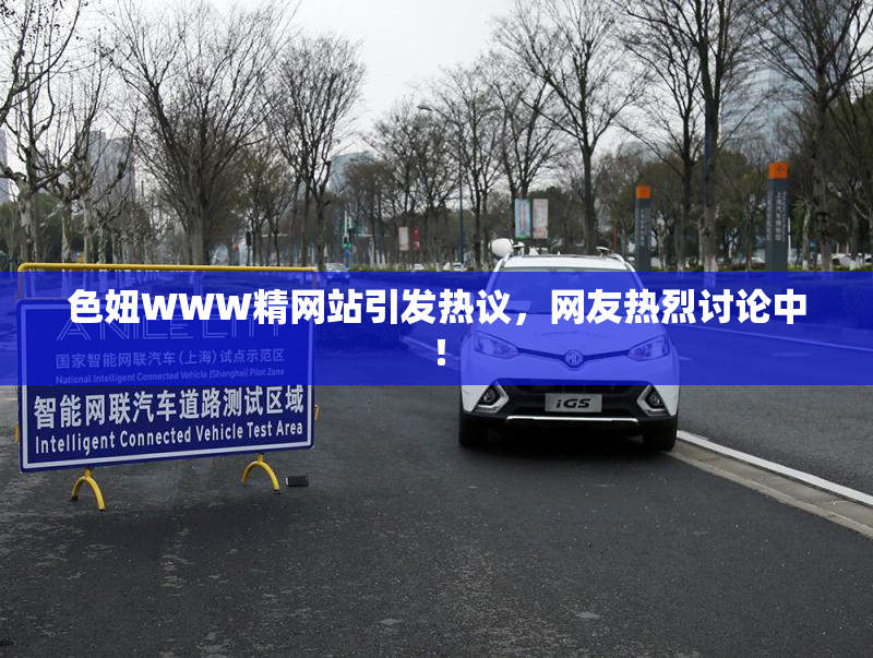 色妞WWW精网站引发热议，网友热烈讨论中！