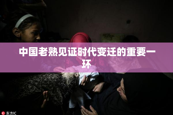 中国老熟见证时代变迁的重要一环