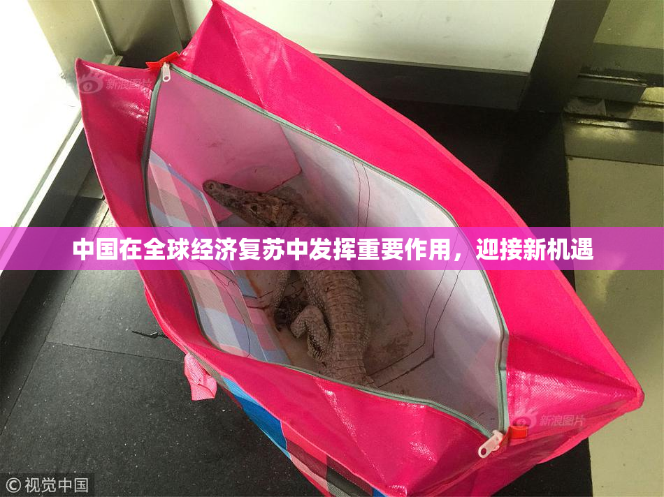 中国在全球经济复苏中发挥重要作用，迎接新机遇