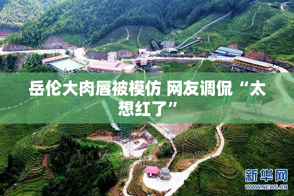 岳伦大肉唇被模仿 网友调侃“太想红了”