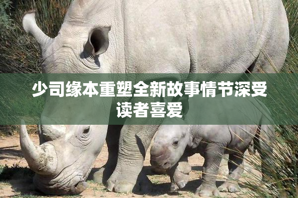 少司缘本重塑全新故事情节深受读者喜爱