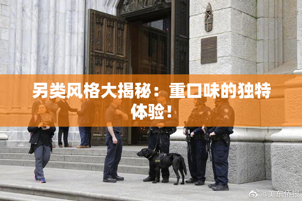 另类风格大揭秘：重口味的独特体验！