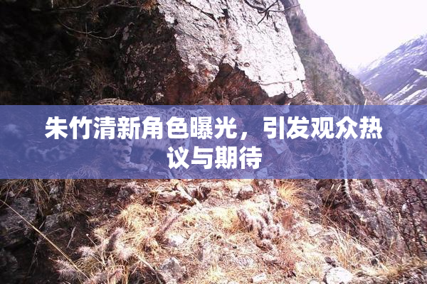 朱竹清新角色曝光，引发观众热议与期待
