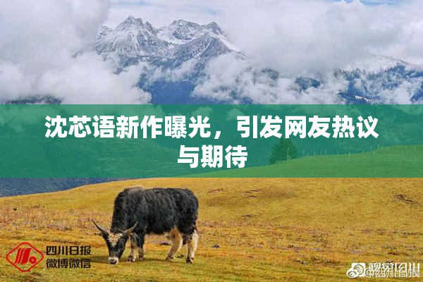 沈芯语新作曝光，引发网友热议与期待