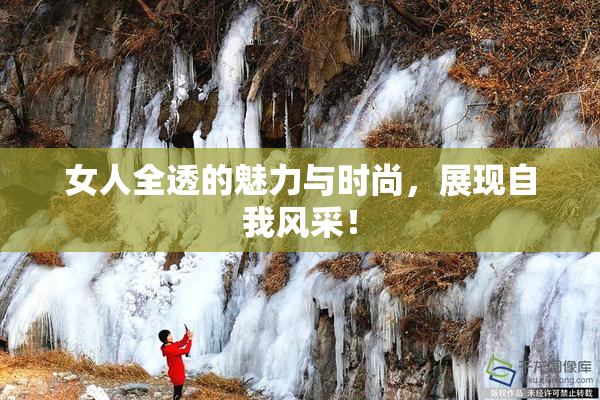 女人全透的魅力与时尚，展现自我风采！