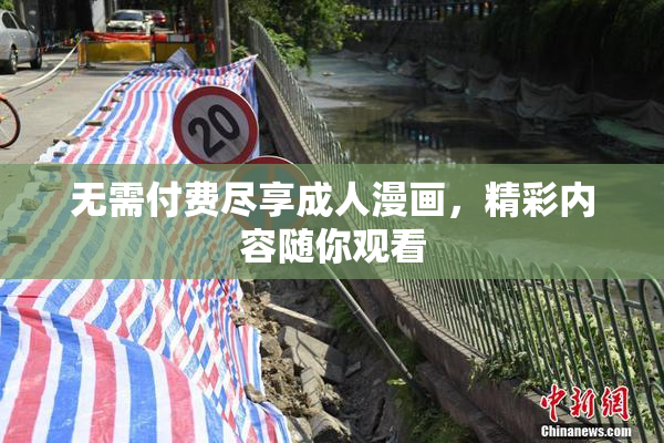无需付费尽享成人漫画，精彩内容随你观看