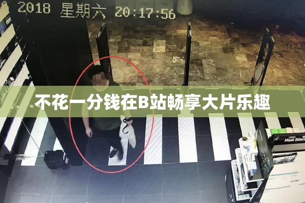 不花一分钱在B站畅享大片乐趣