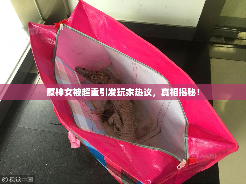 原神女被超重引发玩家热议，真相揭秘！