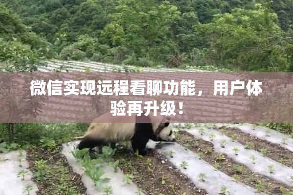 微信实现远程看聊功能，用户体验再升级！