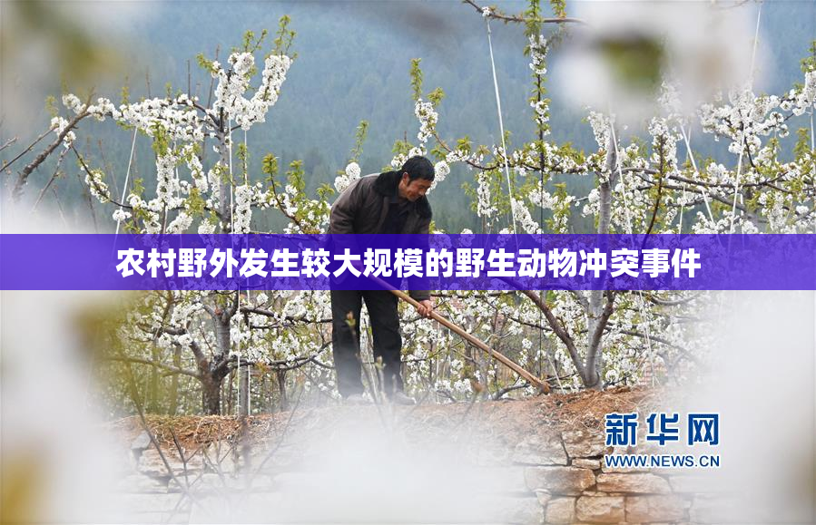 农村野外发生较大规模的野生动物冲突事件