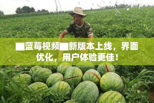 ▇蓝莓视频▇新版本上线，界面优化，用户体验更佳！
