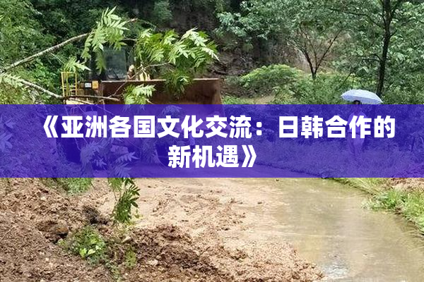 《亚洲各国文化交流：日韩合作的新机遇》