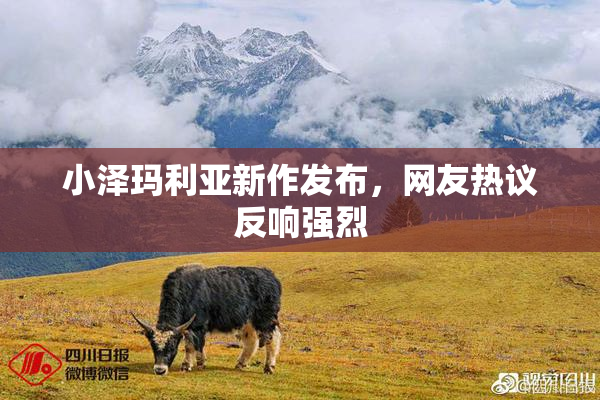 小泽玛利亚新作发布，网友热议反响强烈