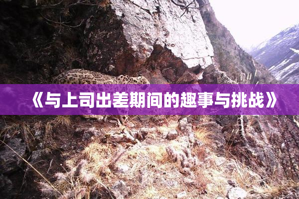 《与上司出差期间的趣事与挑战》