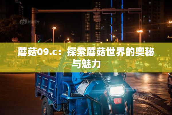 蘑菇09.c：探索蘑菇世界的奥秘与魅力
