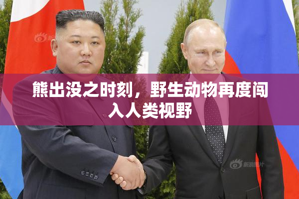 熊出没之时刻，野生动物再度闯入人类视野