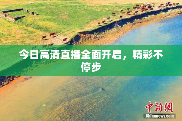 今日高清直播全面开启，精彩不停步