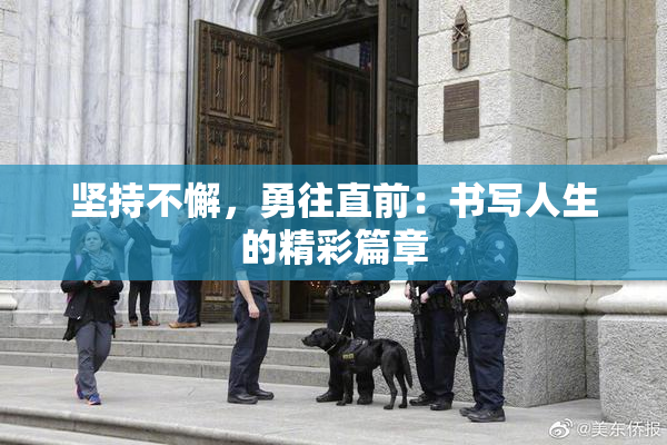 坚持不懈，勇往直前：书写人生的精彩篇章
