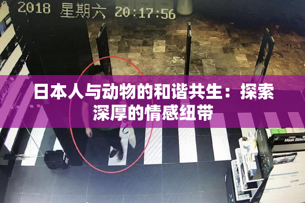 日本人与动物的和谐共生：探索深厚的情感纽带