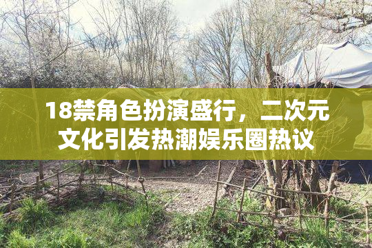18禁角色扮演盛行，二次元文化引发热潮娱乐圈热议