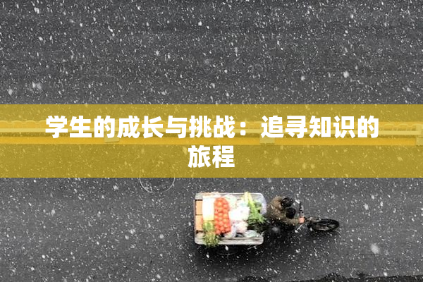 学生的成长与挑战：追寻知识的旅程