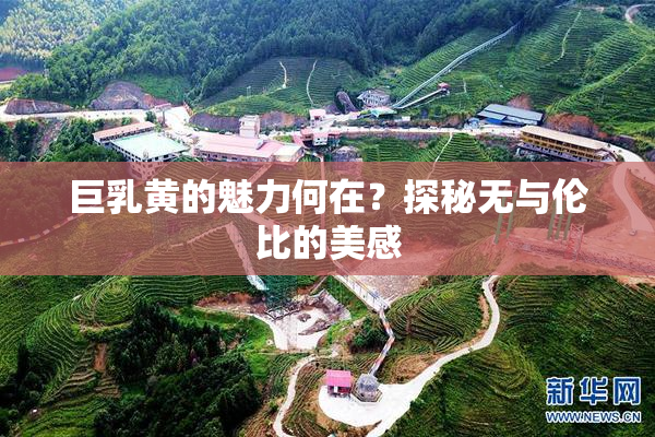 巨乳黄的魅力何在？探秘无与伦比的美感