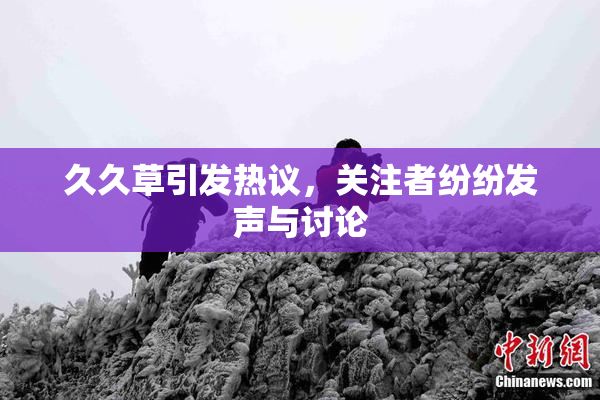 久久草引发热议，关注者纷纷发声与讨论