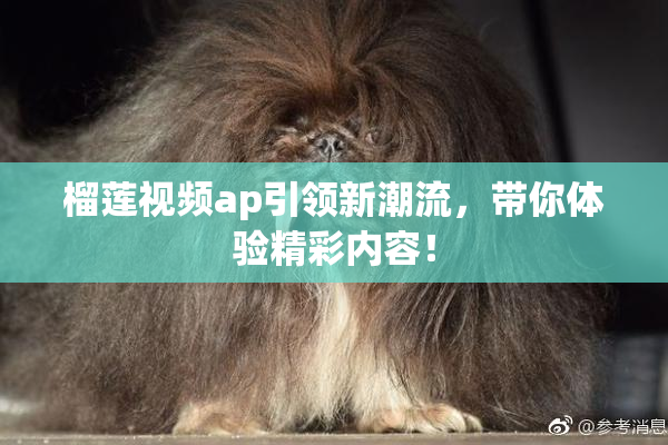 榴莲视频ap引领新潮流，带你体验精彩内容！