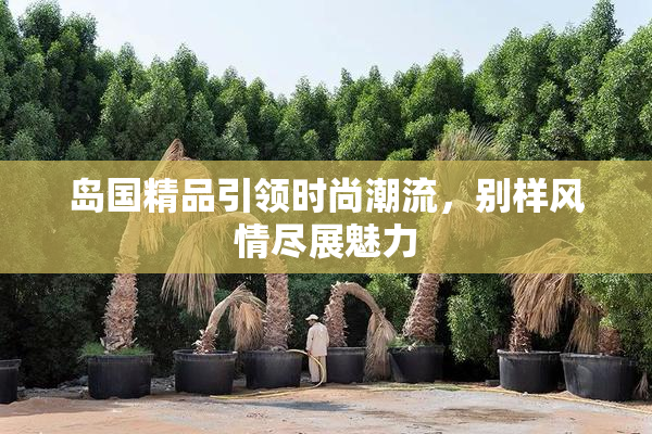 岛国精品引领时尚潮流，别样风情尽展魅力
