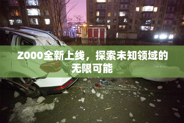 Z000全新上线，探索未知领域的无限可能