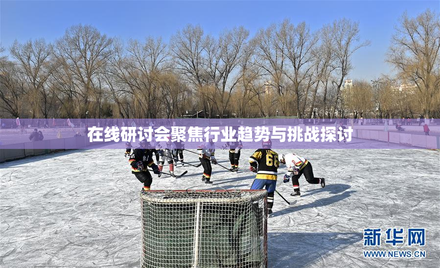 在线研讨会聚焦行业趋势与挑战探讨