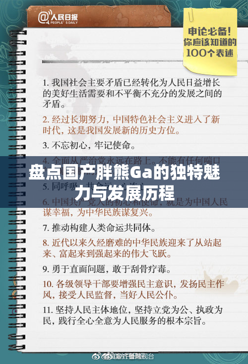 盘点国产胖熊Ga的独特魅力与发展历程