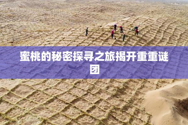 蜜桃的秘密探寻之旅揭开重重谜团