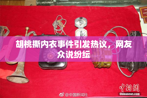 胡桃撕内衣事件引发热议，网友众说纷纭