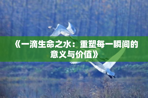 《一滴生命之水：重塑每一瞬间的意义与价值》