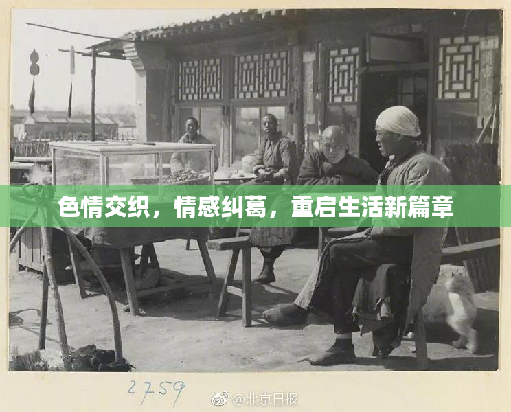 色情交织，情感纠葛，重启生活新篇章